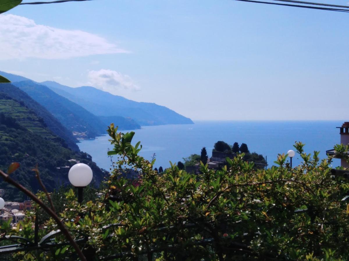 La Cabana Cinque Terre Monterosso Монтероссо-аль-Маре Экстерьер фото