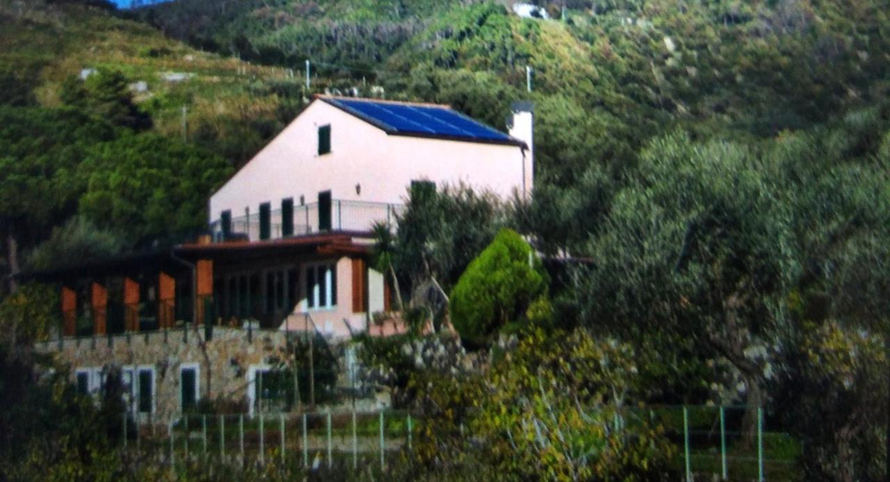 La Cabana Cinque Terre Monterosso Монтероссо-аль-Маре Экстерьер фото
