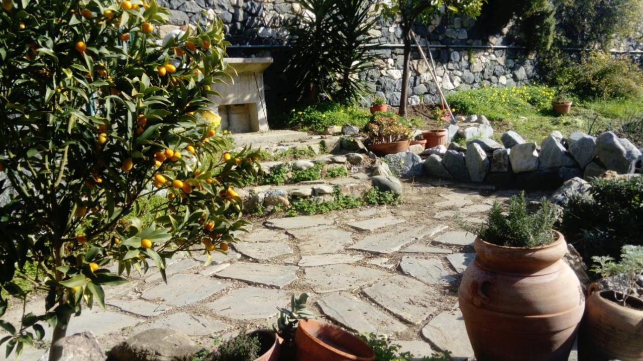 La Cabana Cinque Terre Monterosso Монтероссо-аль-Маре Экстерьер фото